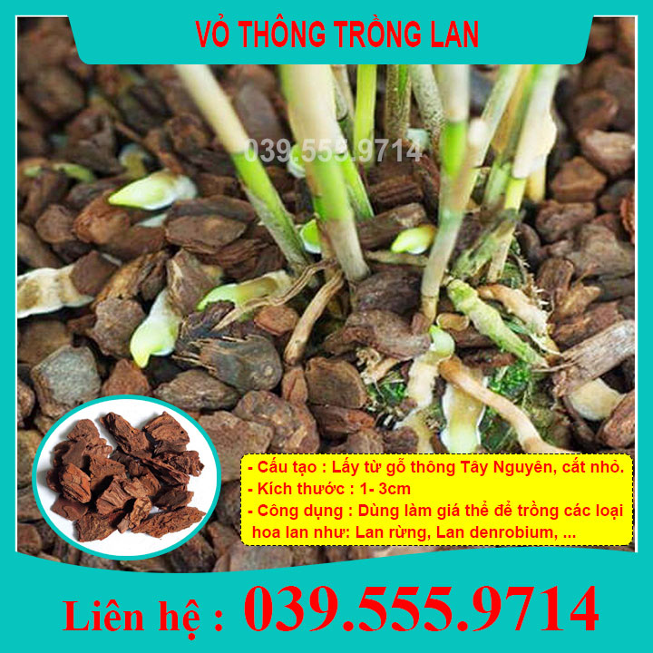 Vỏ thông trồng lan đã qua xử lý 500gram