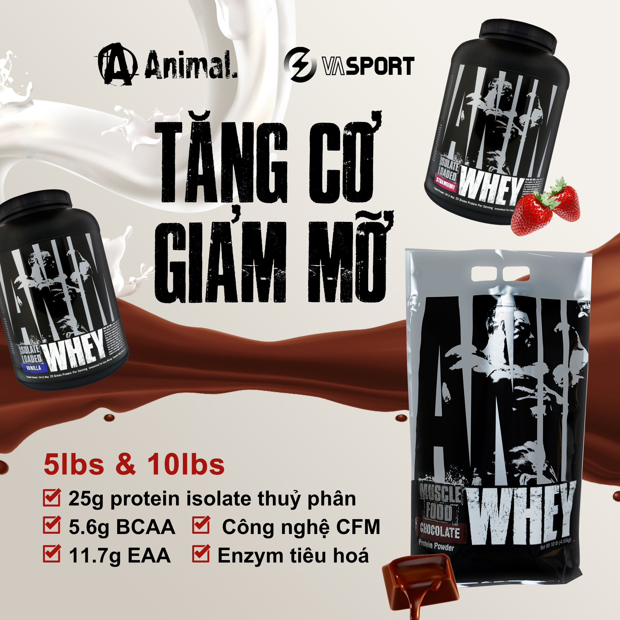 Animal Whey protein tăng cơ hiệu quả