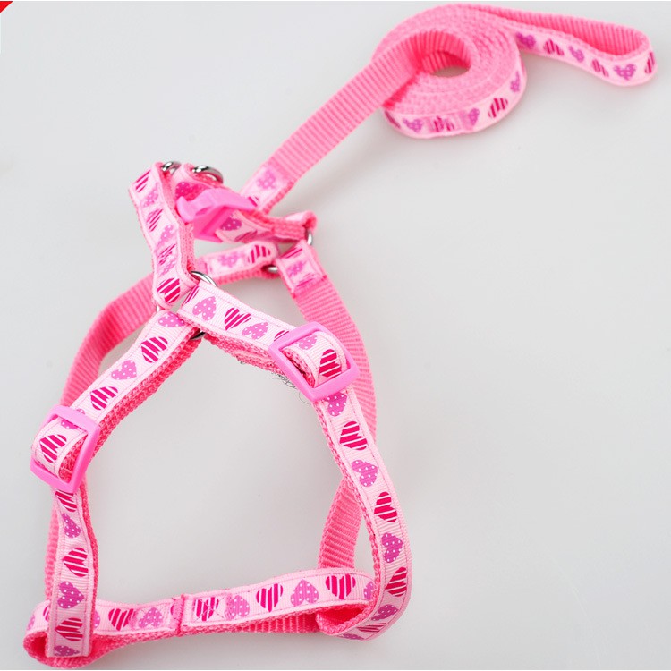 DÂY DẮT CHÓ MÈO 2 LỚP TỪ 1-15KG