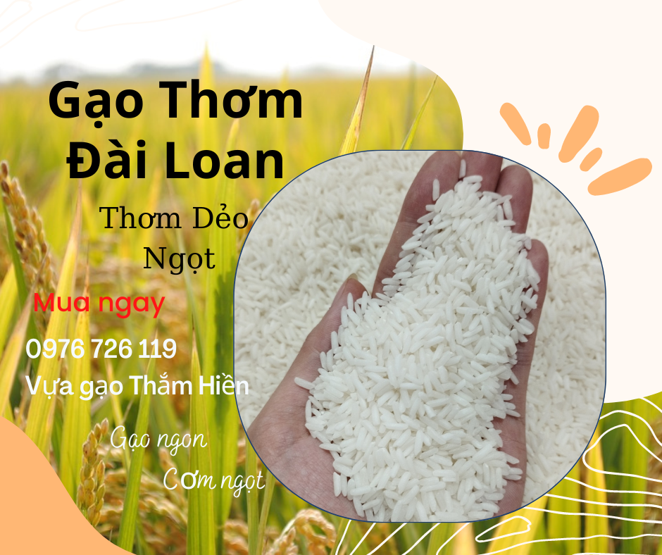 5KG Gạo Thơm Đài Loan - Gạo Thơm Dẻo Ngọt - Gạo Dẻo Vừa - Bena Organic