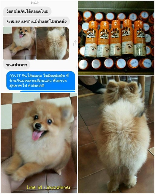 Siro kích thích thèm ăn, Bổ Sung Vitamin & Omega3 cho cún 🐶