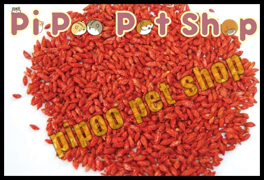 Kỉ tử - Thức ăn dặm cho Hamster và thú nhỏ