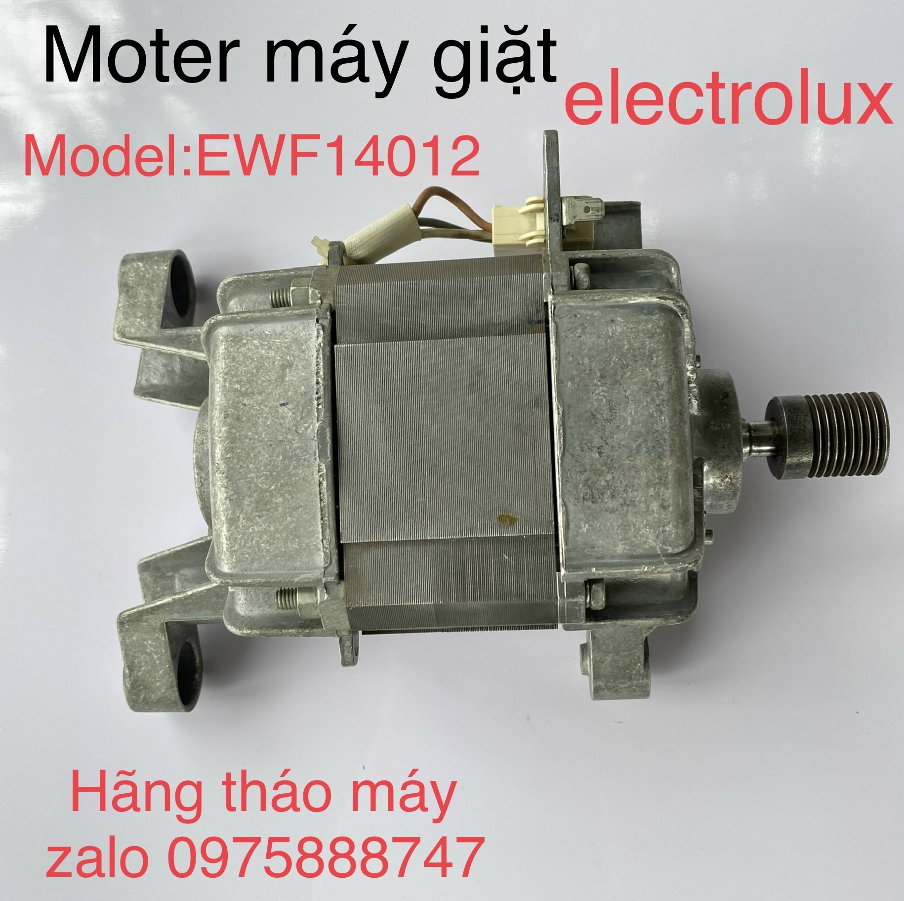Moter máy giặt electrolux ewf-14012