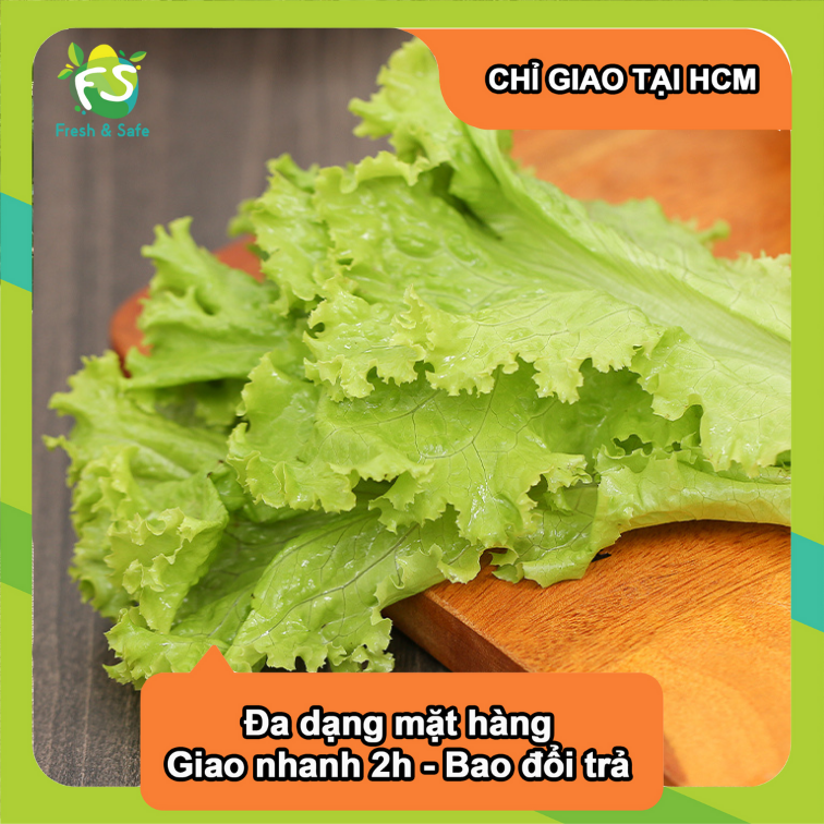 [Chỉ Giao HCM] Xà Lách Lolo Xanh - 300g