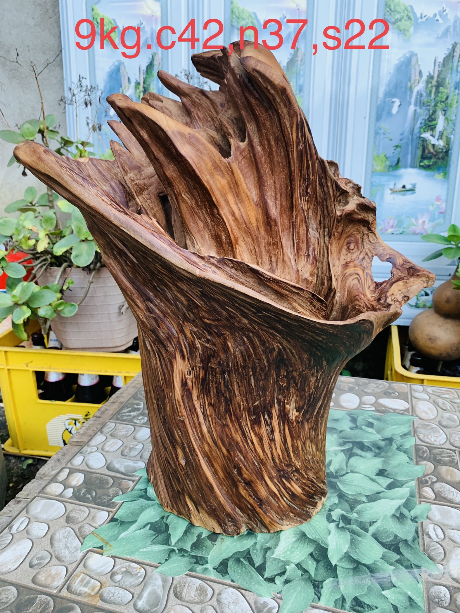 lũa gỗ thơm ngọc am đỏ hà giang