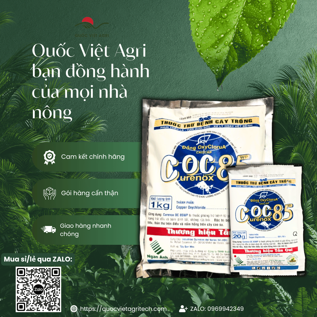 (20g - 1kg) Genuine Coc 85 Wp Fungicide - Copper Oxychloride 85%W/W Eliminates Powdery Mildew, Anthracnose, White Powdery Mildew and Scars for Ornamental Flowers