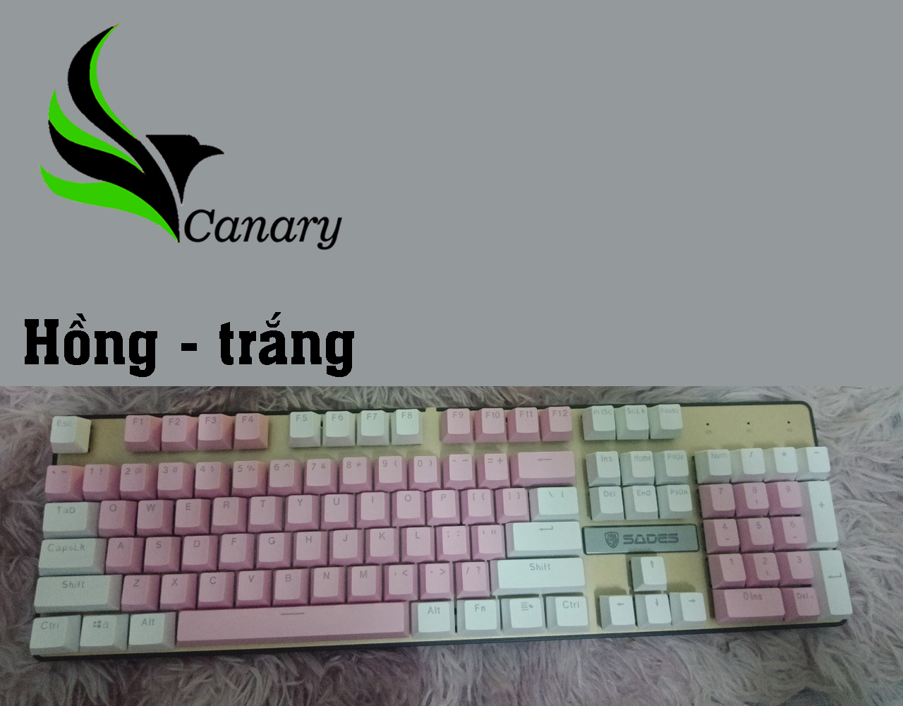 [HCM]Set nút bàn phím (Keycap) ABS xuyên led 104 nút