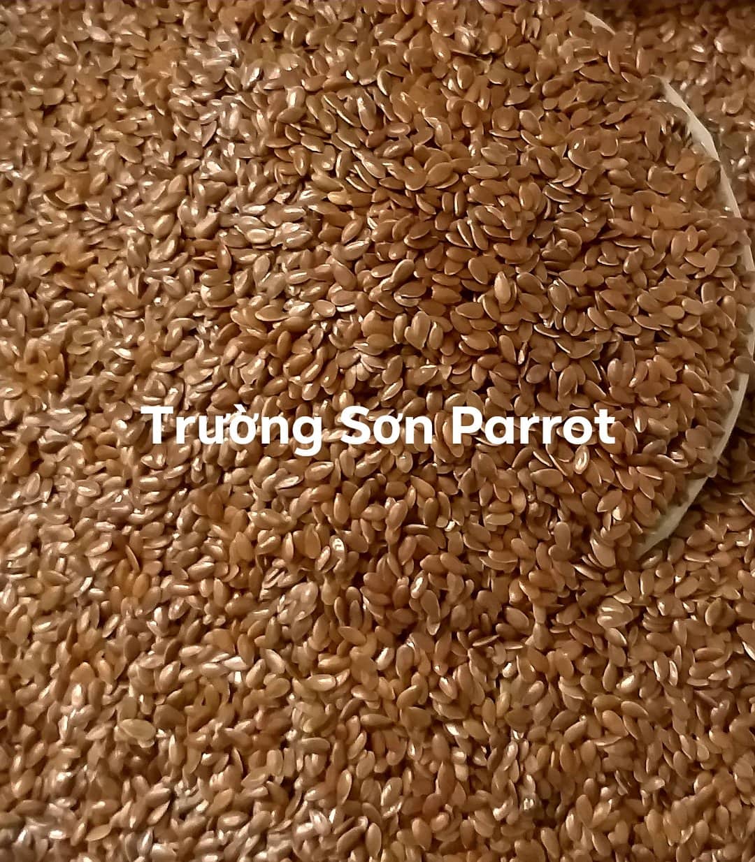 Hạt lanh sạch, nhập khẩu Canada gói 500g