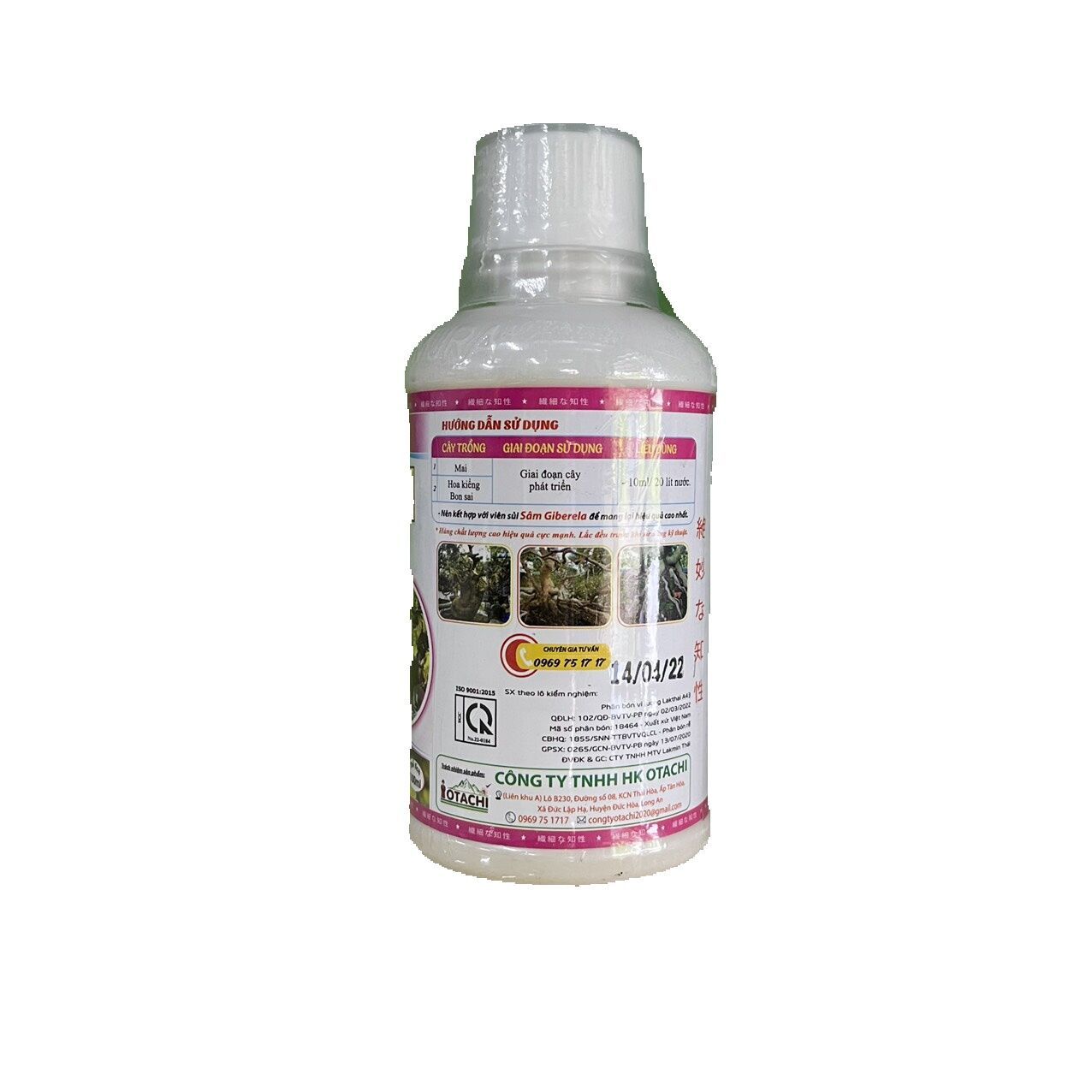 otachi múp mập thân cành 100 ml