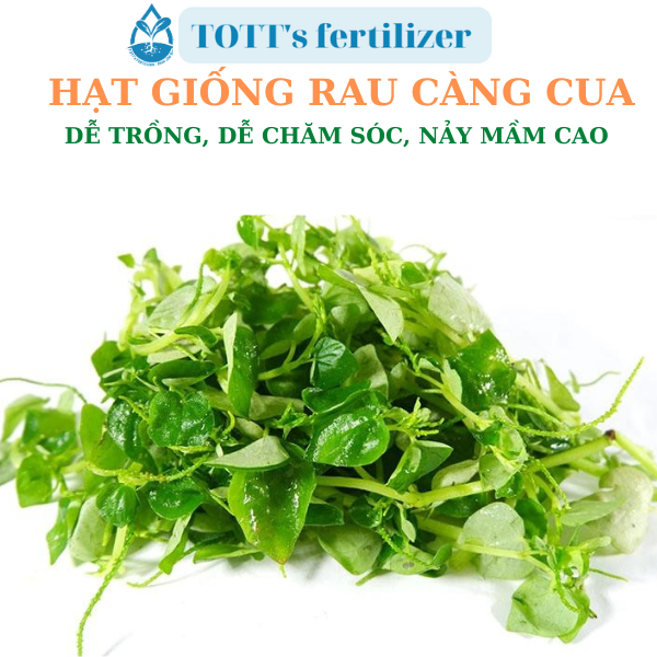 Hạt giống rau càng cua dễ nảy mầm dễ trồng TOTT's fertilizer