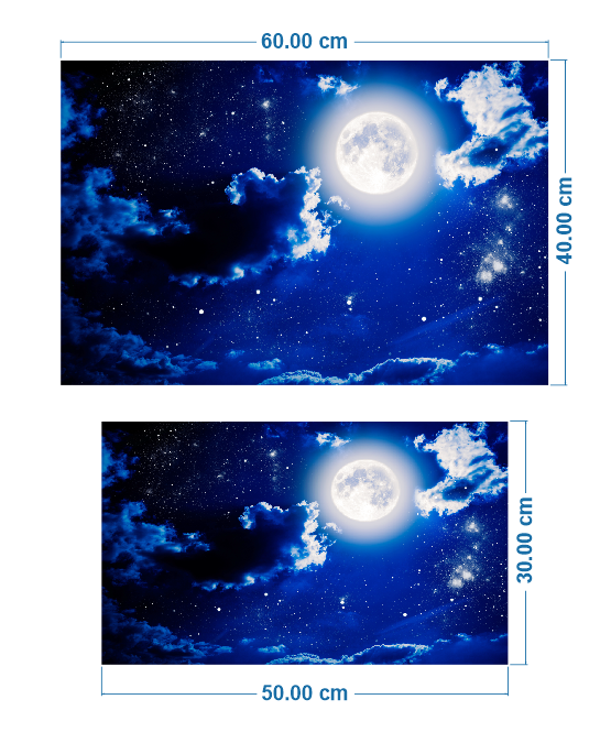 Tranh dán bể cá 3D - Decal dán bể cá kiểu Moon - Trăng đêm