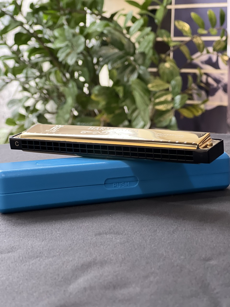 Kèn harmonica tremolo 24 lỗ cho người mới chơi