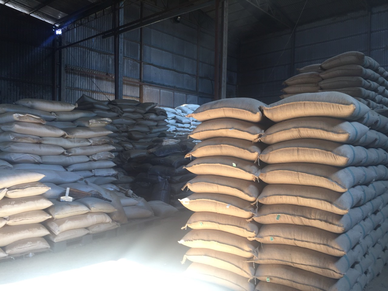 [HCM]CÀ PHÊ HẠT NGUYÊN CHẤT ROBUSTA RANG MỘC HEMERA COFFEE