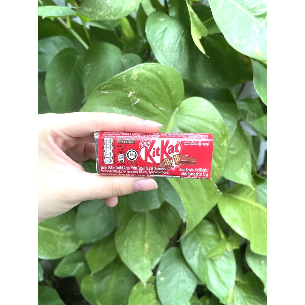 [Combo 5 Thanh] Sôcôla Nestlé KitKat Thái Lan (5 Thanh x 17g)