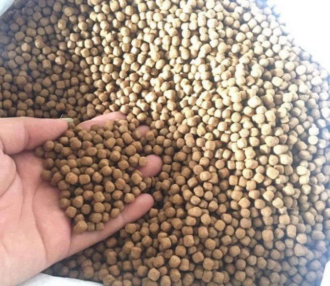 1kg Cám cá cagill (hạt 6mm) siêu đạm dùng cho cá chép, cá coi, cá rô...mồi câu siêu dính