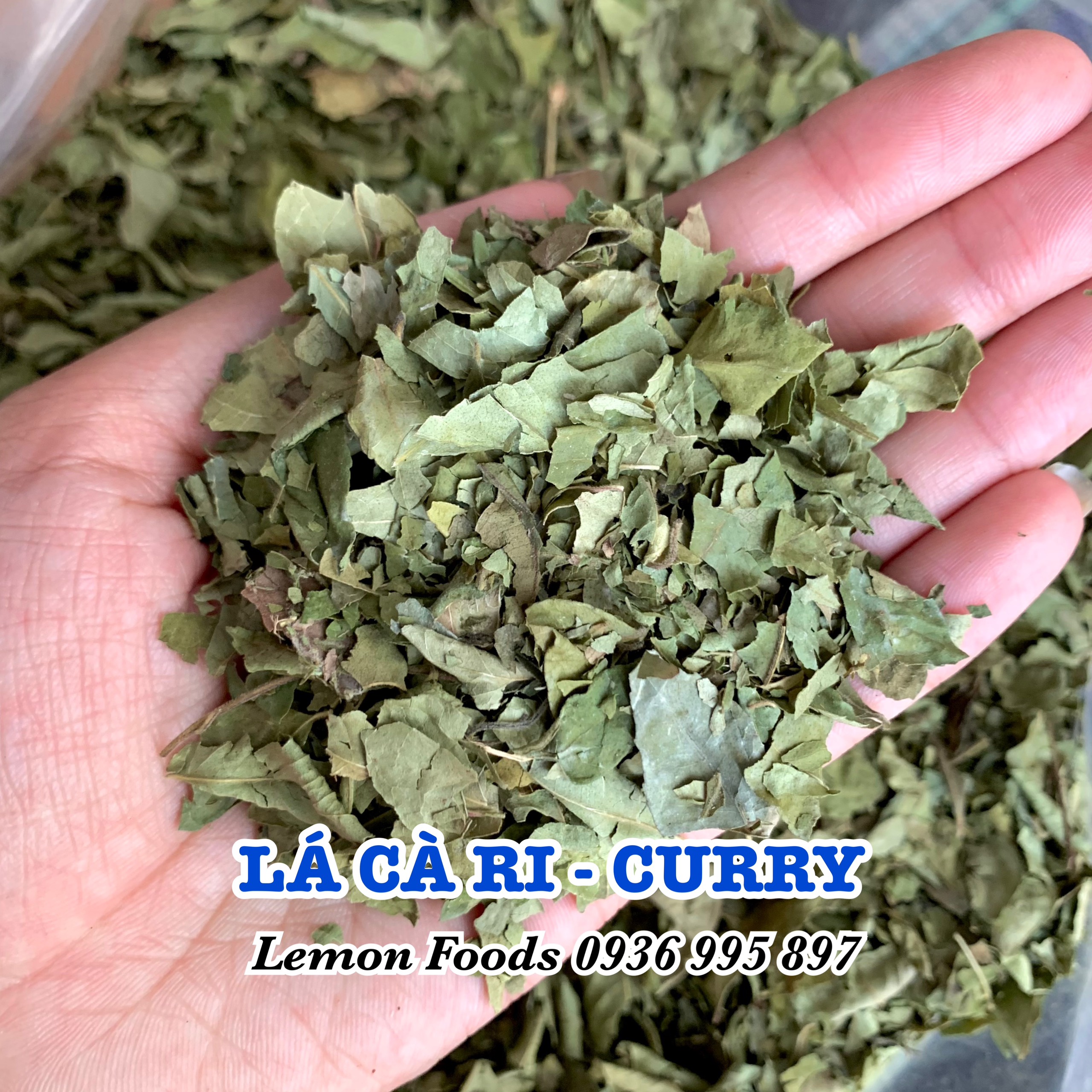 Lá Curry - Lá Cà ri sấy khô thơm - Gia vị nấu cà ri, ướp thịt, làm sốt, thịt hầm, đồ nướng