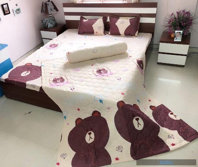 Chăn hè thu chần bông vi tính - Gấu nâu