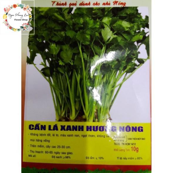 Hạt Giống Rau Cần Lá Xanh (Cần Tây) - Gói 10 Gram