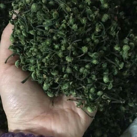 100g nụ hoa tam thất