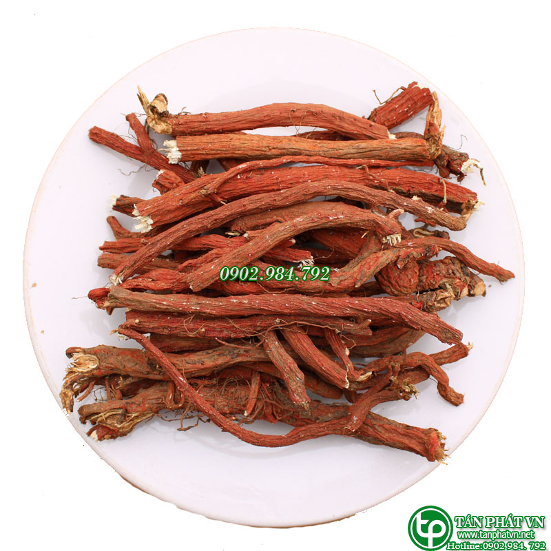Đan sâm sấy khô 100g cao cấp - Hàng sạch thơm cao cấp - Thảo Dược Tấn Phát
