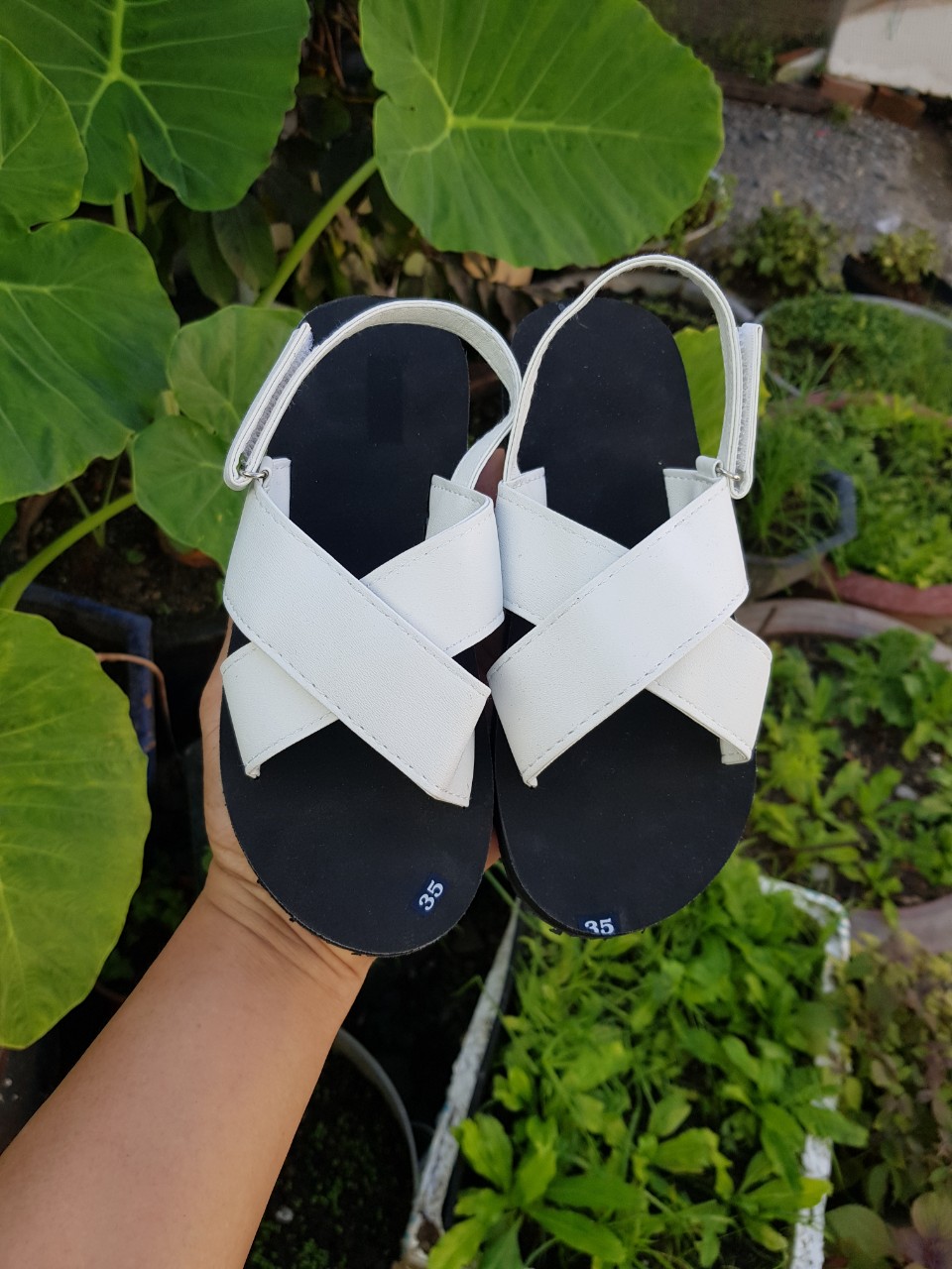 xăng đan nữ đế đen quai trắng đủ màu đủ size