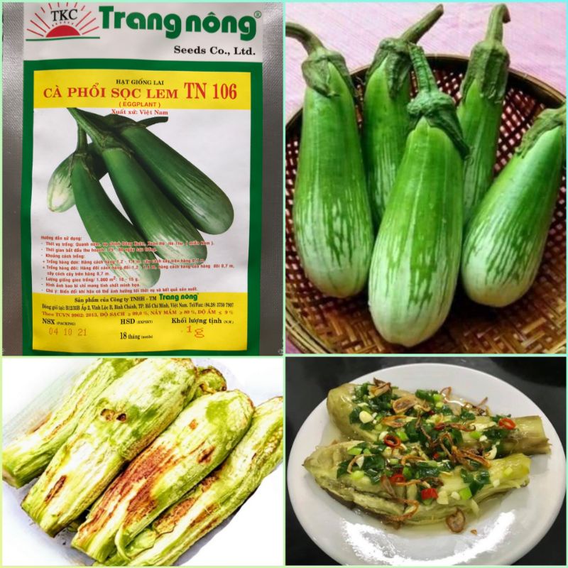 200 hạt giống cà phổi sọc lem trang nông tn106