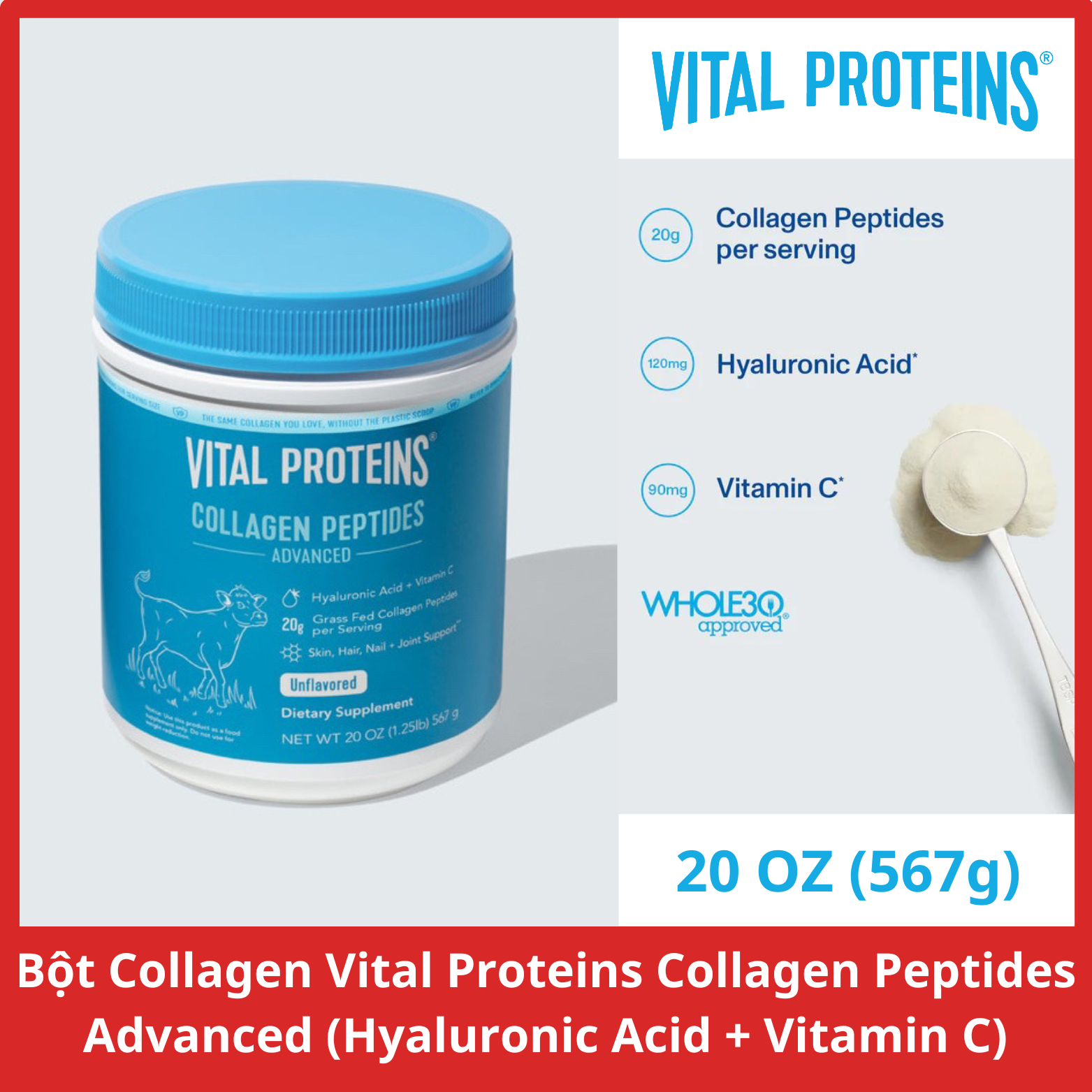 Bột Collagen thủy phân Vital Protein Collagen Peptides đủ vị (không chứa GMO-sữa-gluten)