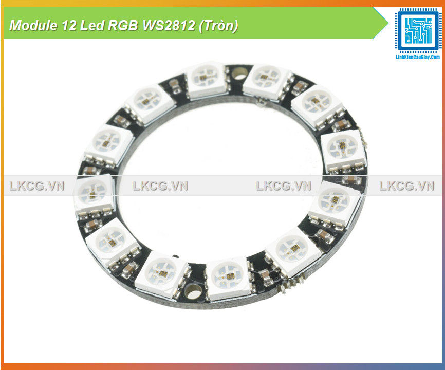 Module 12 led rgb ws2812