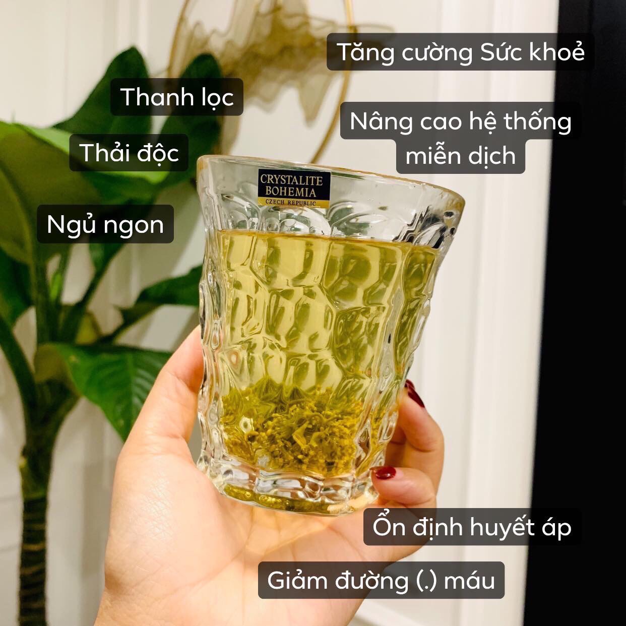 [HCM]TRÀ HOA SÂM HÀN QUỐC- TÚI 500G