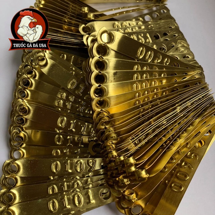 [HCM]Combo 50 Cái Chì Bấm Chân Đánh Dấu Bổn Bang