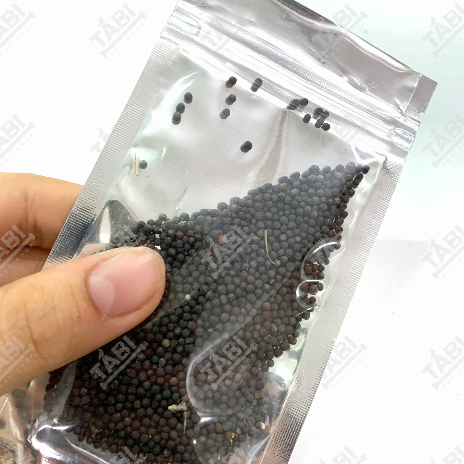 Hạt Giống Thuỷ Sinh - Cây Trồng Thuỷ Sinh