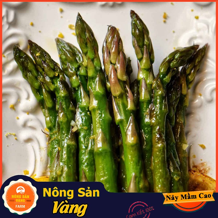 Hạt giống Rau Hoàng Đế (Măng Tây Xanh) Loại Cây Trồng Ưa Khí Hậu Mát, Ưa Ánh Sáng Mặt Trời (Gói 40 Hạt) - Nông Sản Vàng