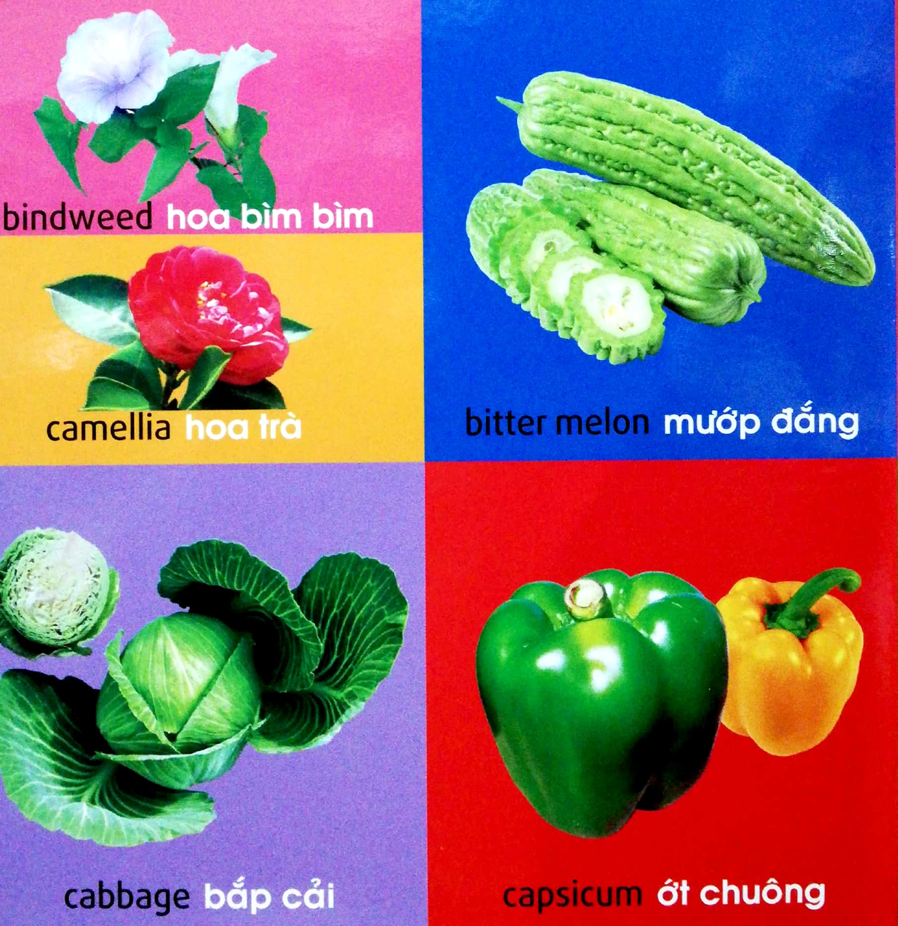 Fahasa - 101 First Words - Plants / 101 Từ Đầu Tiên - Thực Vật