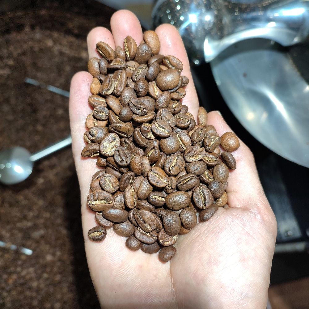 Cà phê Arabica Cầu Đất [500g] - 100% Cà phê mộc rang xay nguyên chất, pha máy, cold brew - TBCAFE