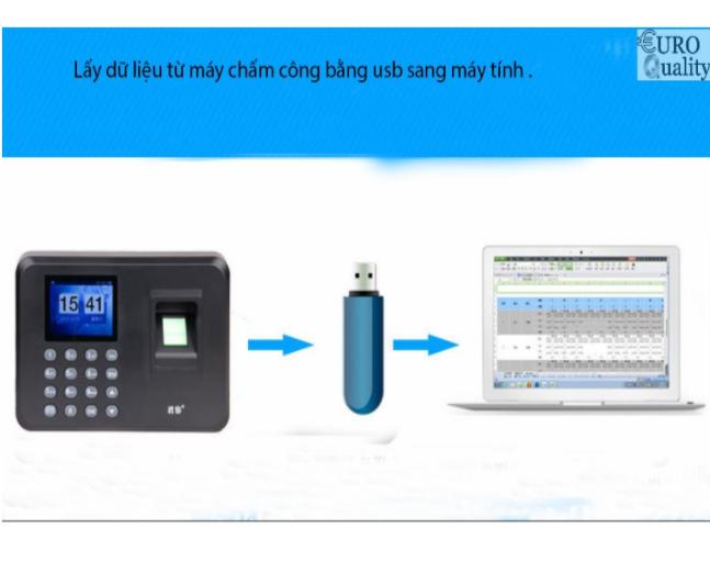 Euro Quality Máy chấm công bằng vân tay