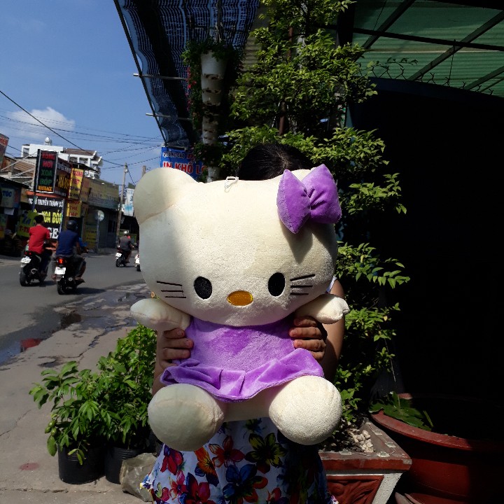[HCM]MÈO KITTY NHỒI BÔNG 45CM