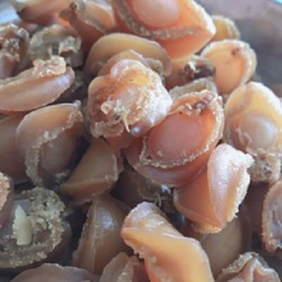 Bào Ngư Khô loại xuất khẩu 100gr