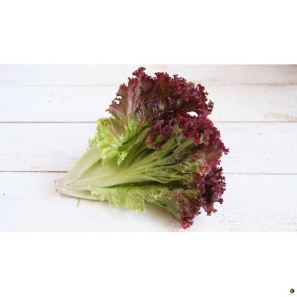 Hạt Giống Xà Lách Tím  - Gói 2 Gram