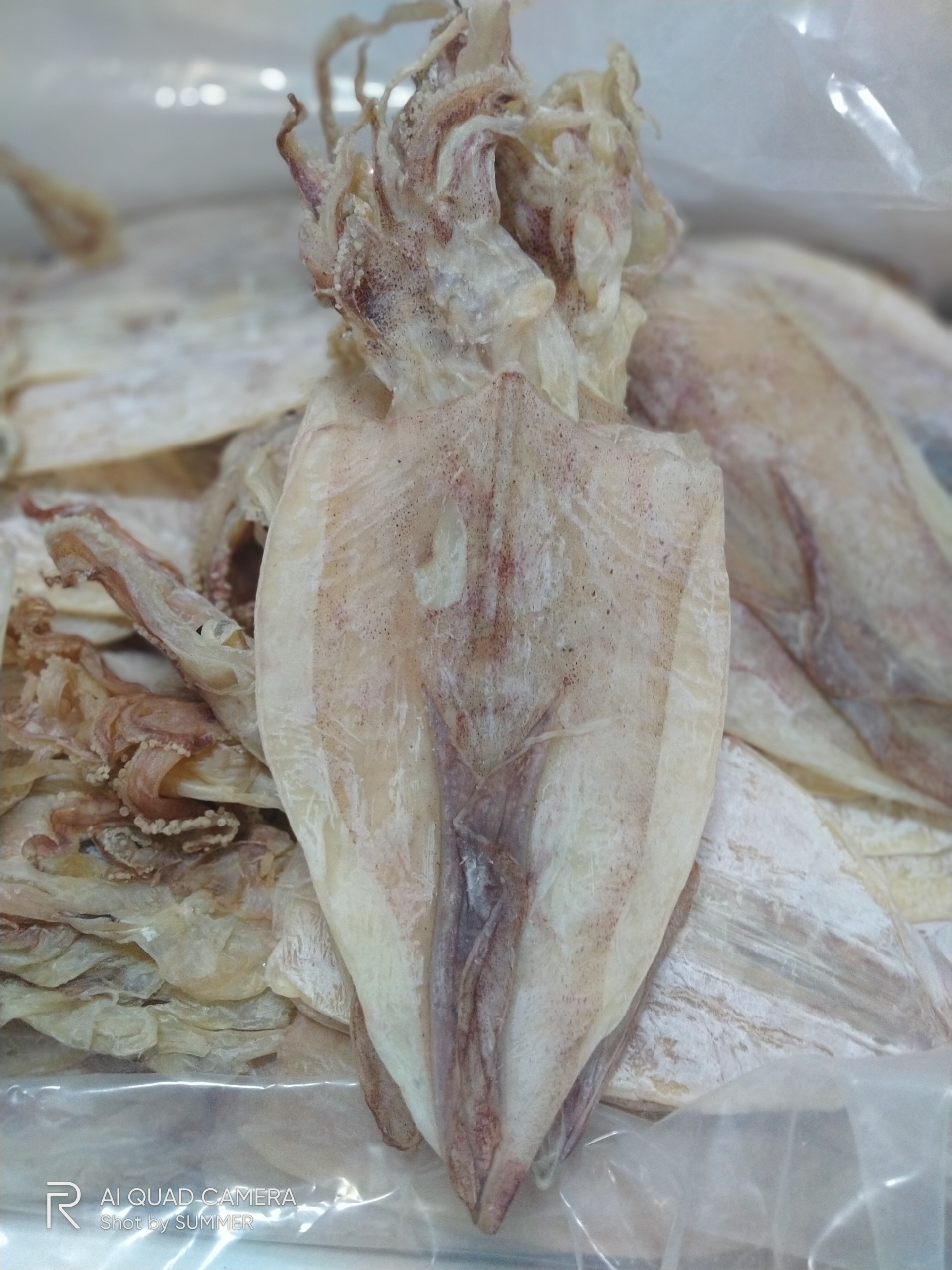 3 con khô mực vũng tàu loại 1