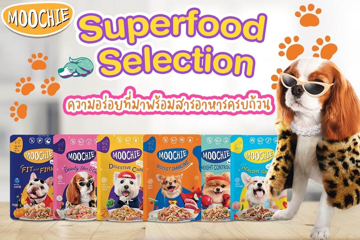 Pate Moochie Chó 85g  FREE SHIP  Sốt Bò Gà, rau củ quả