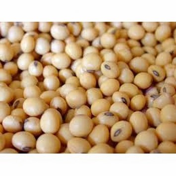 1 kg đậu nành