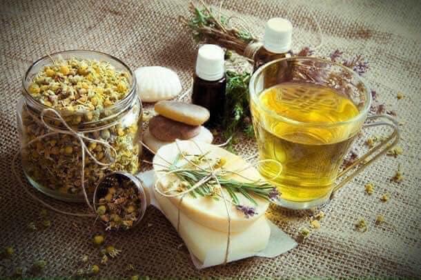 TRÀ CÚC HỮU CƠ NGUYÊN BÔNG DM BIO
