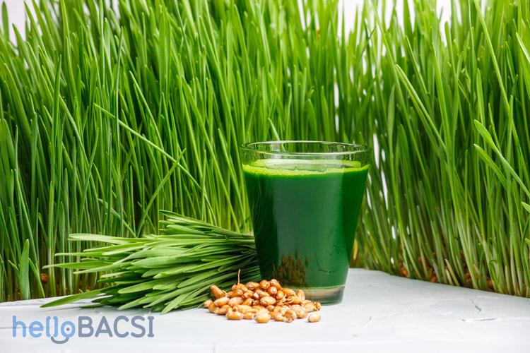 Bột Nước Ép Cỏ Lúa Mì Hữu Cơ  Terrasoul 141g ( Organic Wheat Grass Juice Powder )