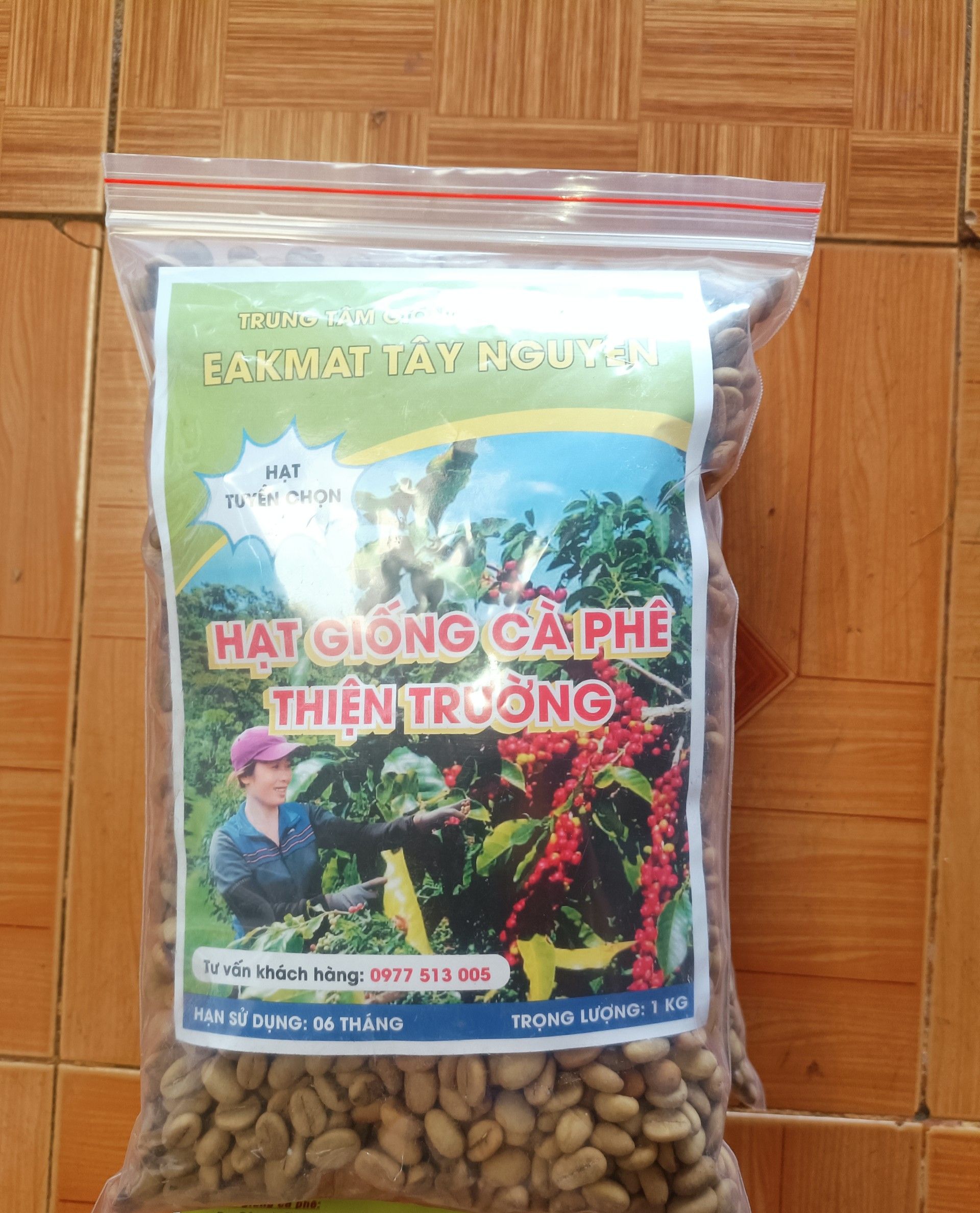 Hạt giống cà phê Thiện Trường cao sản