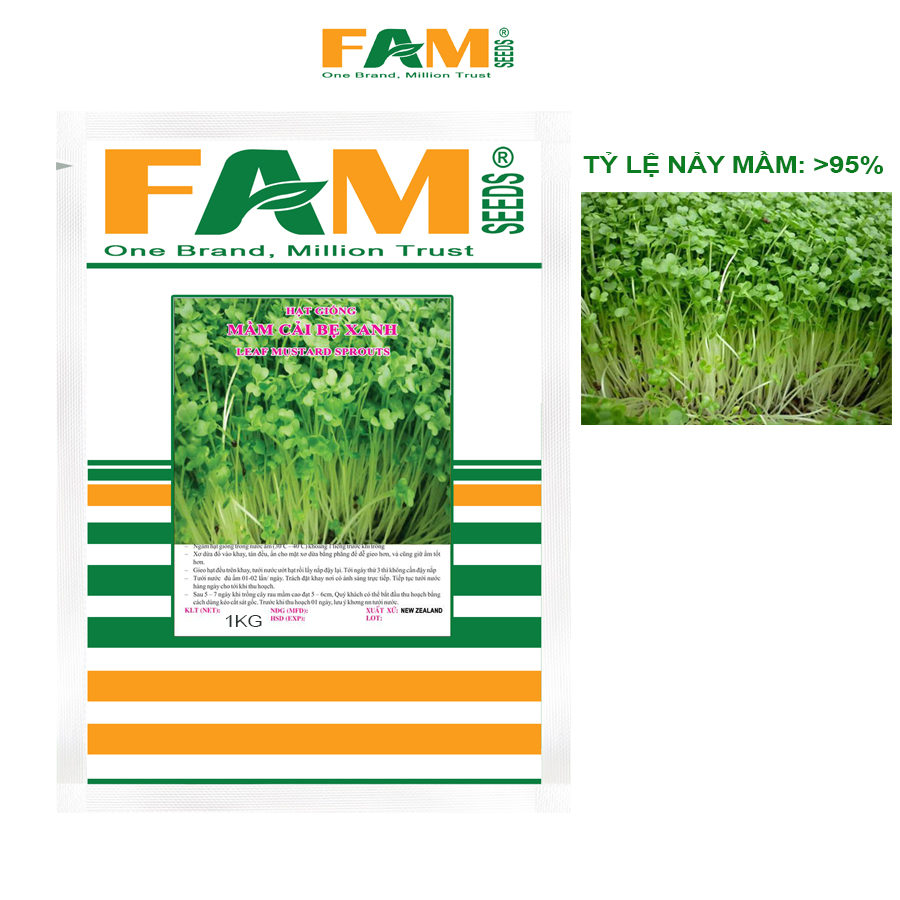 Gói 1kg Hạt Giống Rau Mầm Cải Bẹ Xanh FAM SEEDS - Hạt Đều, Đẹp, Nảy Mầm Rất Khỏe, Phát Triển Mạnh, Nhanh Thu Hoạch