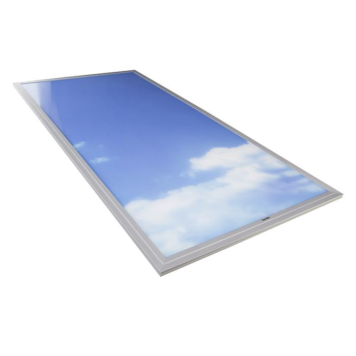 Đèn LED Panel Mây trời 600x1200 75W Rạng Đông