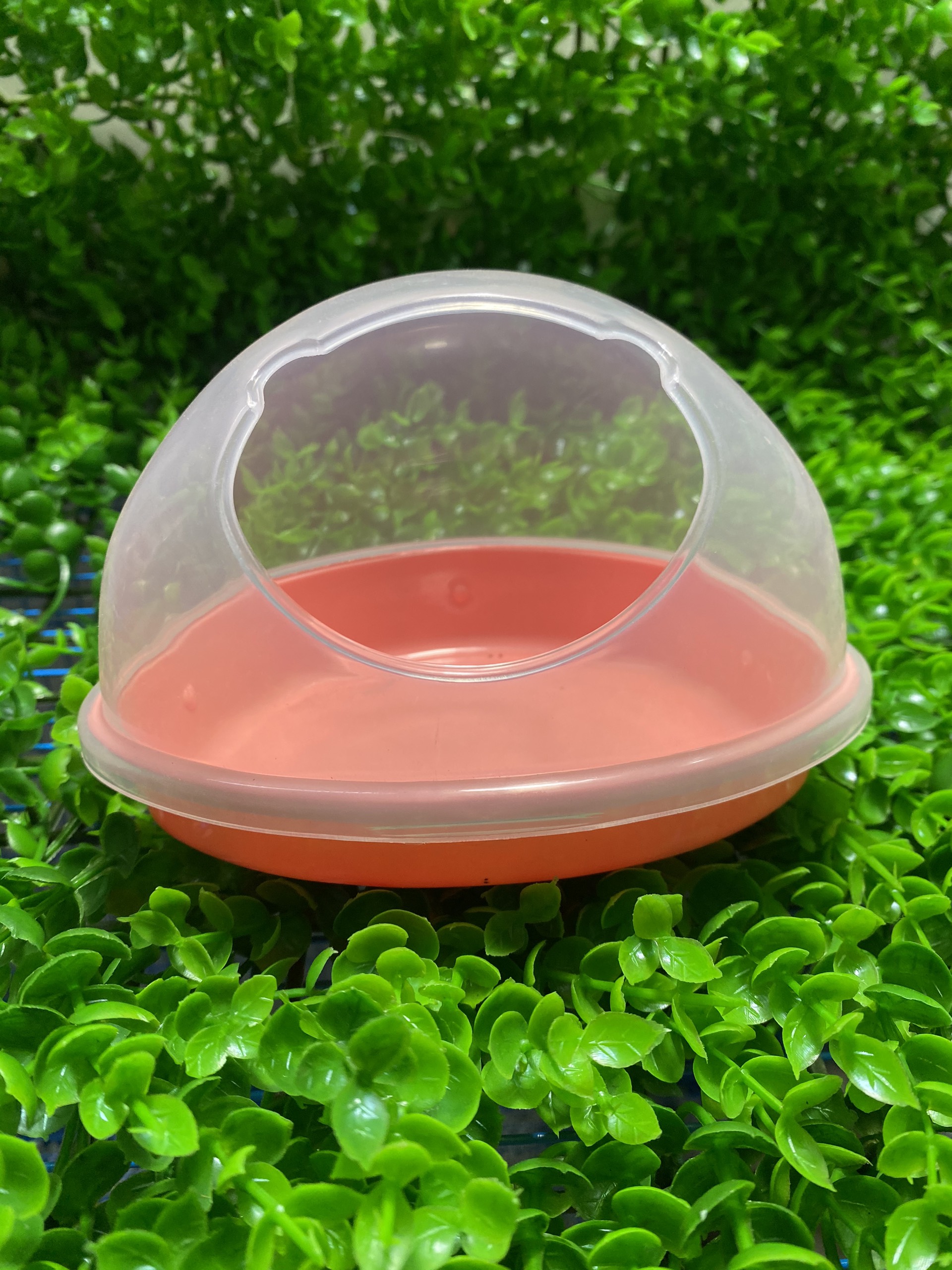 Nhà tắm lớn cho hamster