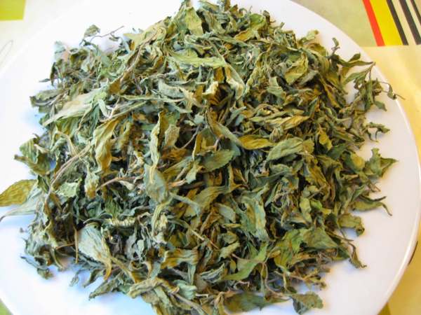 Trà cỏ ngọt khô 1kg hàng mới ngon GT114