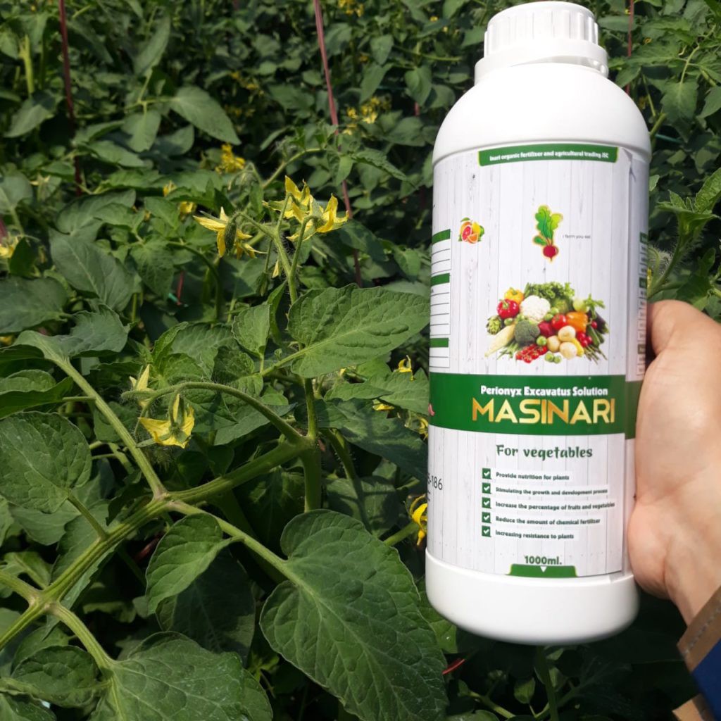 Dịch trùn quế Masinari chai 250 ml