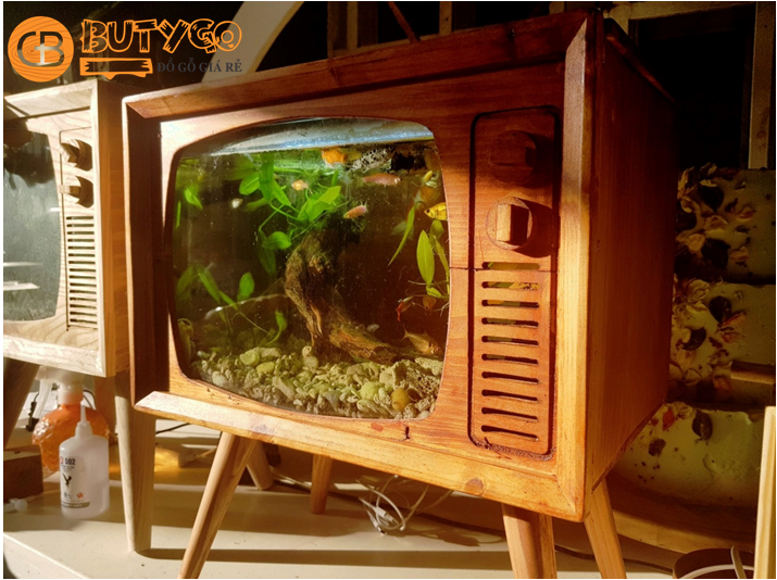 HỒ CÁ TI VI CỠ TO